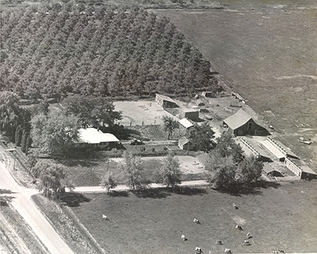 Smitchger farm and orchard on Ustick near Eagle Rd